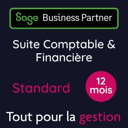 Sage 100 Suite Comptable et Financière Standard DSU 12 Mois