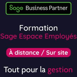 Formation Sage Espace Employés