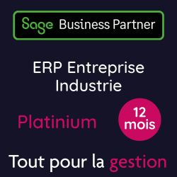 Sage 100 Entreprise Industrie Platinum Premium DSU 12 Mois