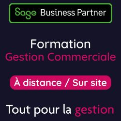 Formation Sage Gestion Commerciale 100