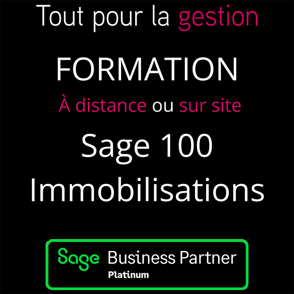 Formation SAGE 100 Immobilisations