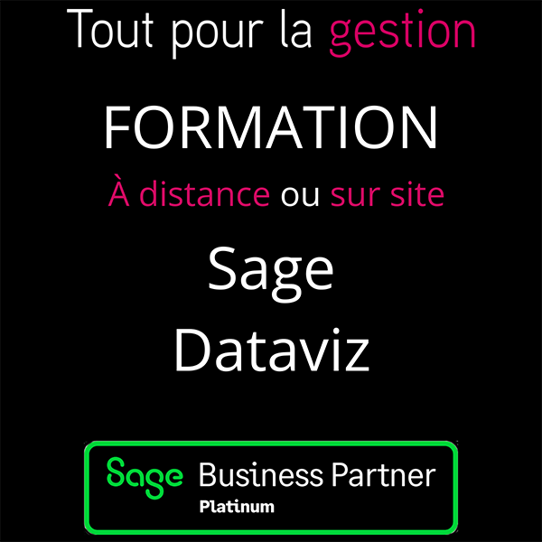 Formation Sage 50 Dataviz