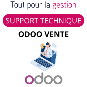 support technique assistance Odoo Ventes tout-pour-la-gestion