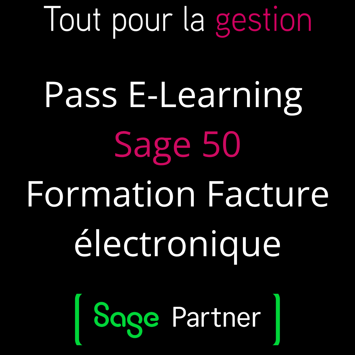 PASS E-learning Formation en ligne Sage 50 et Facture électronique. Apprendre Réception des achats Envoi des ventes