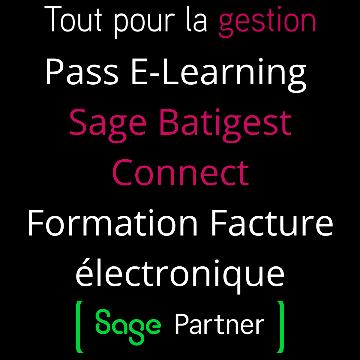 TPLG Pass ELearning Formation en ligne Sage Batigest connect Facture electronique