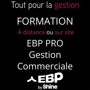Formation EBP Gestion Commerciale PRO, à distance ou sur site – Altaïs Tout-pour-la-gestion, organisme certifié Qualiopi